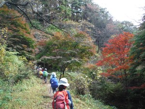 DSCF2301-1024x768.jpg